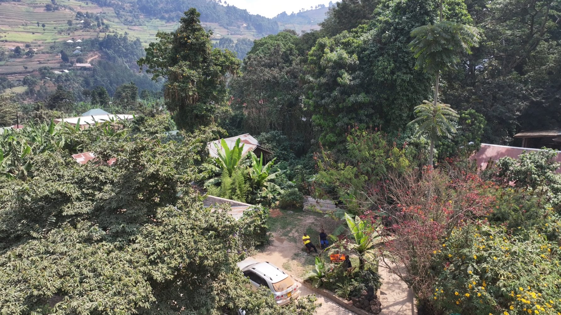 View over the terraced hills and forest canopy surrounding Wagtail Forest Lodge, Rubuguri